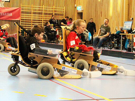Parasport